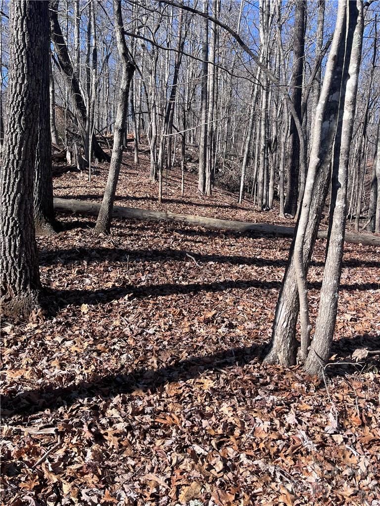 Woodland Circle