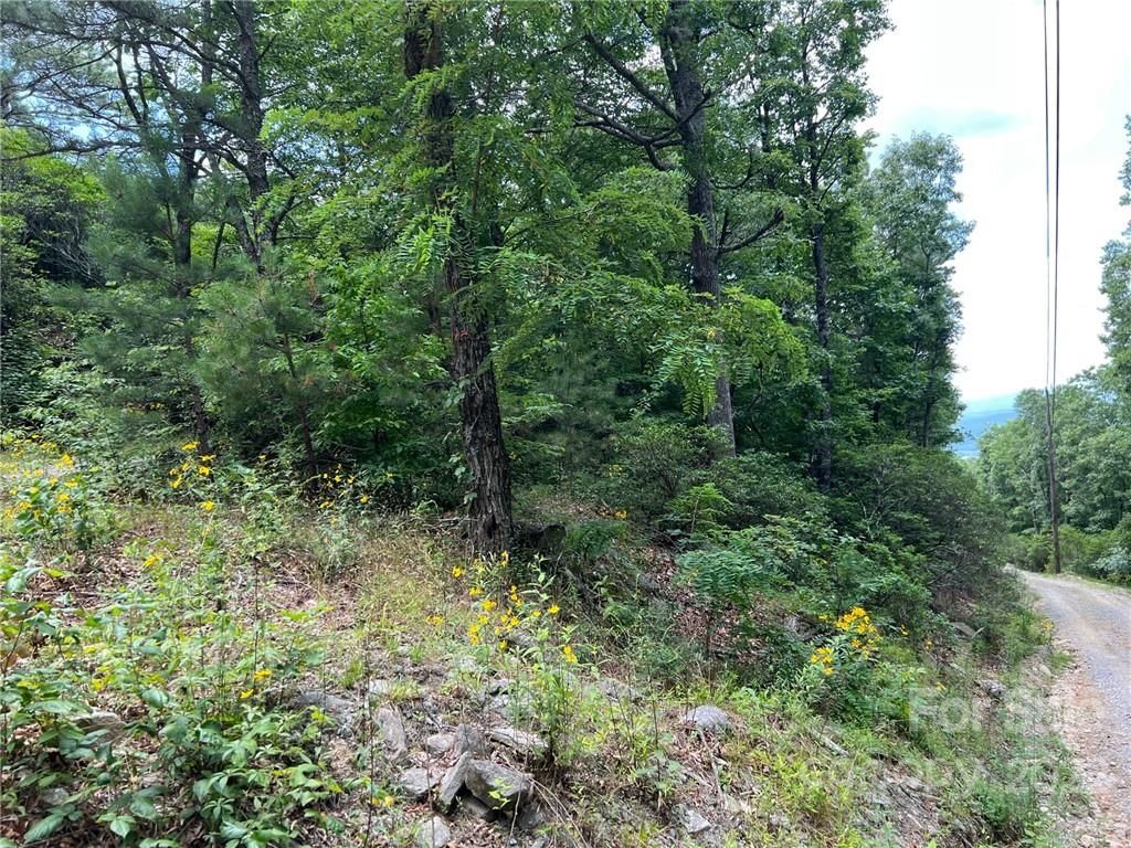 Pine Ridge Road