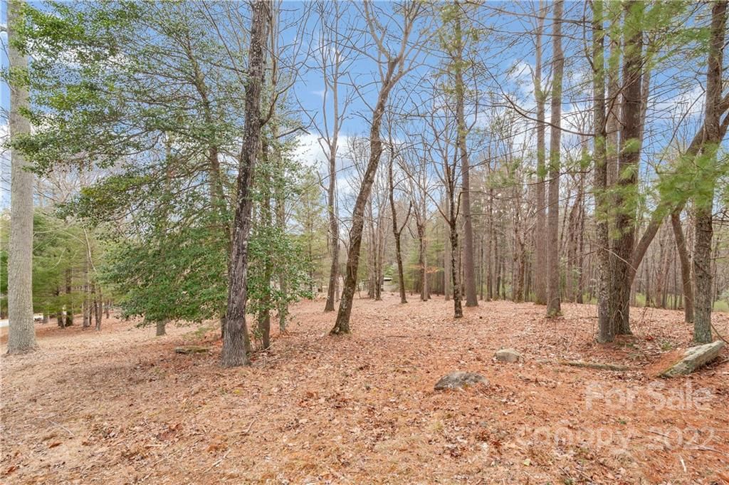 Lot 1 Cedar Hill Drive