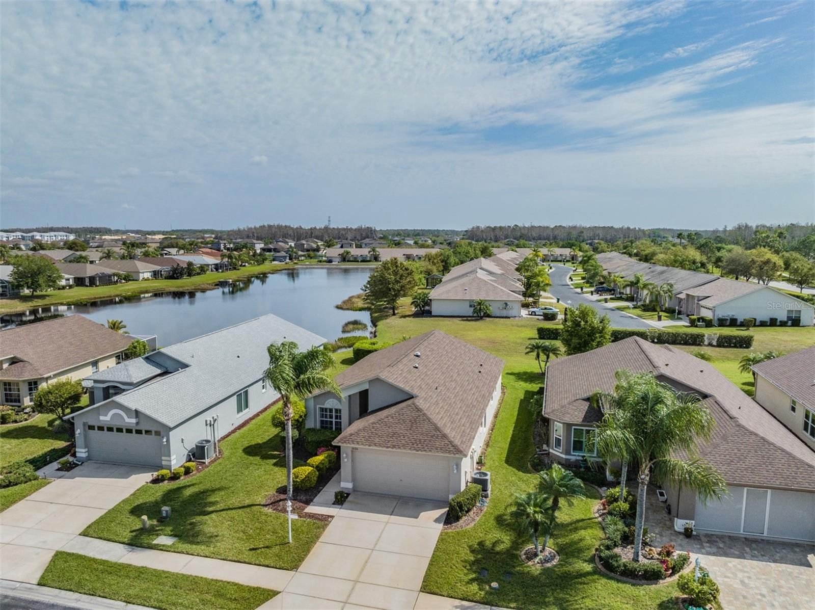 1626 Arbor Knoll Loop, Trinity, FL, 34655 Florida for Boomers Homes