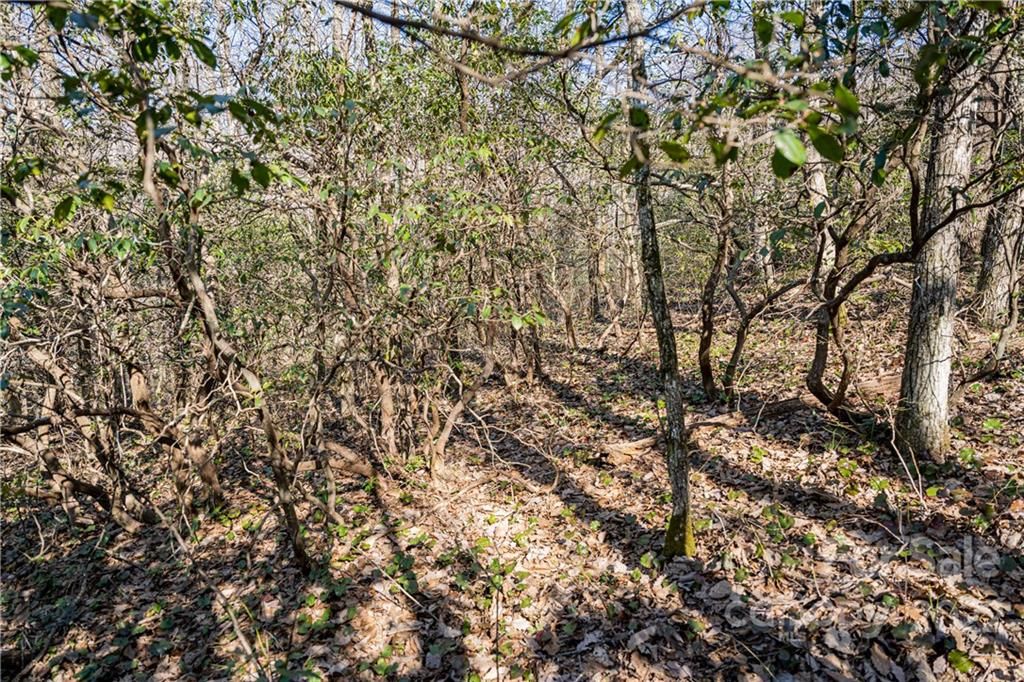 9999 River Ridges Road
