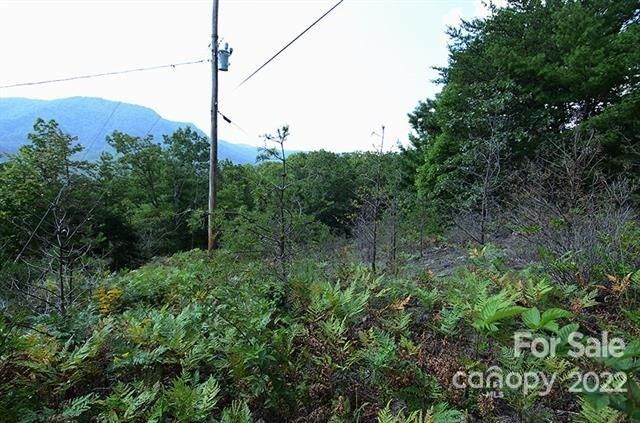 Lot 32g Sequoyah Circle