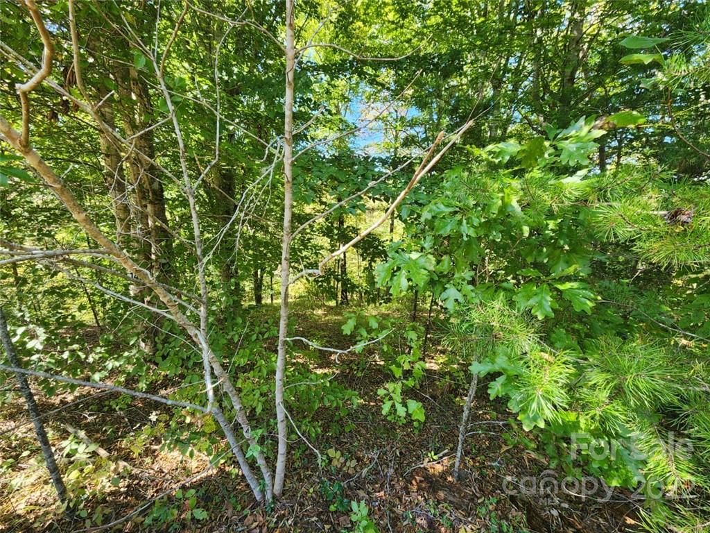 00 Cross Creek Drive