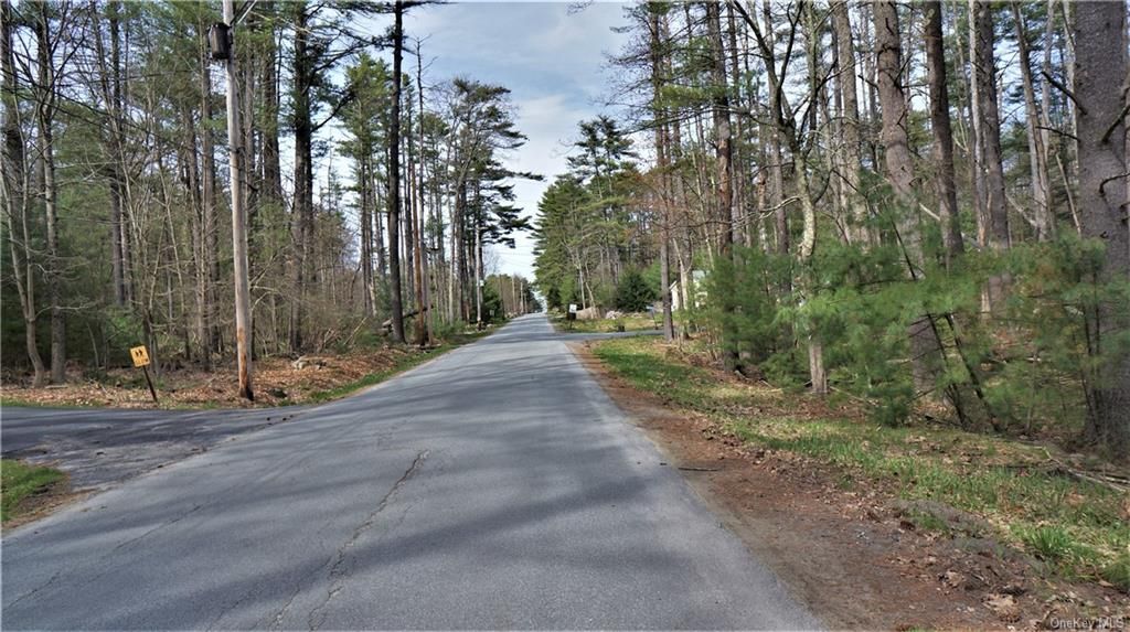 **000** Bodine Lake Road