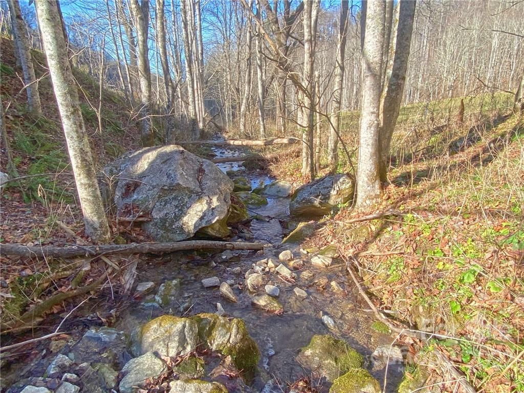 1056 Burton Cove Road