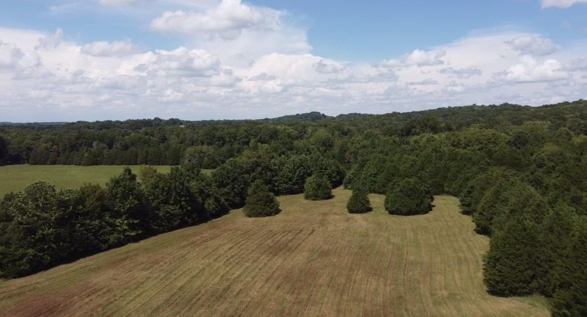 Tobe Robertson Rd