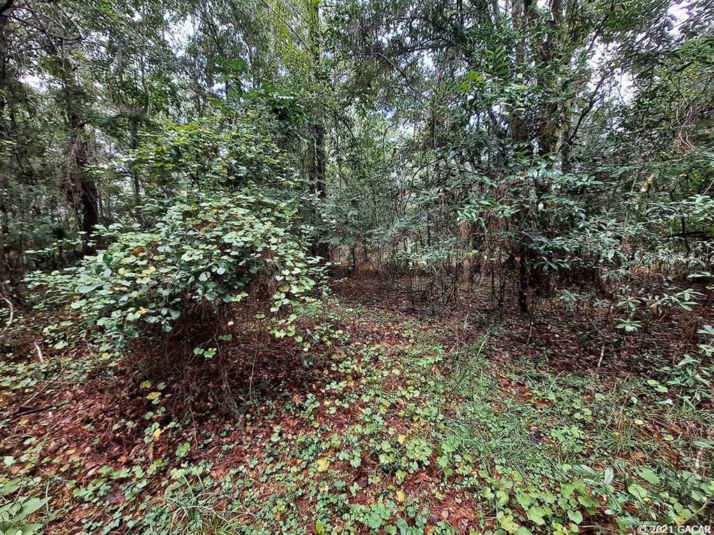 000 SW 1st. Avenue