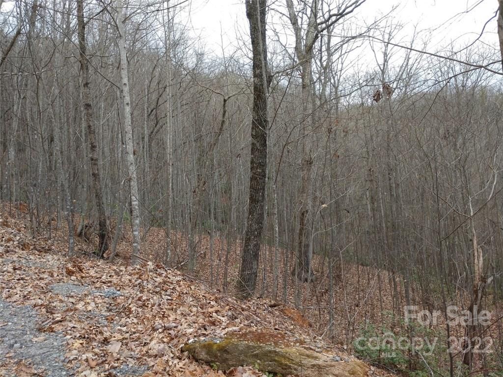 99999 Rock Cave Road