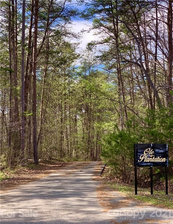 Shady Bark Lane