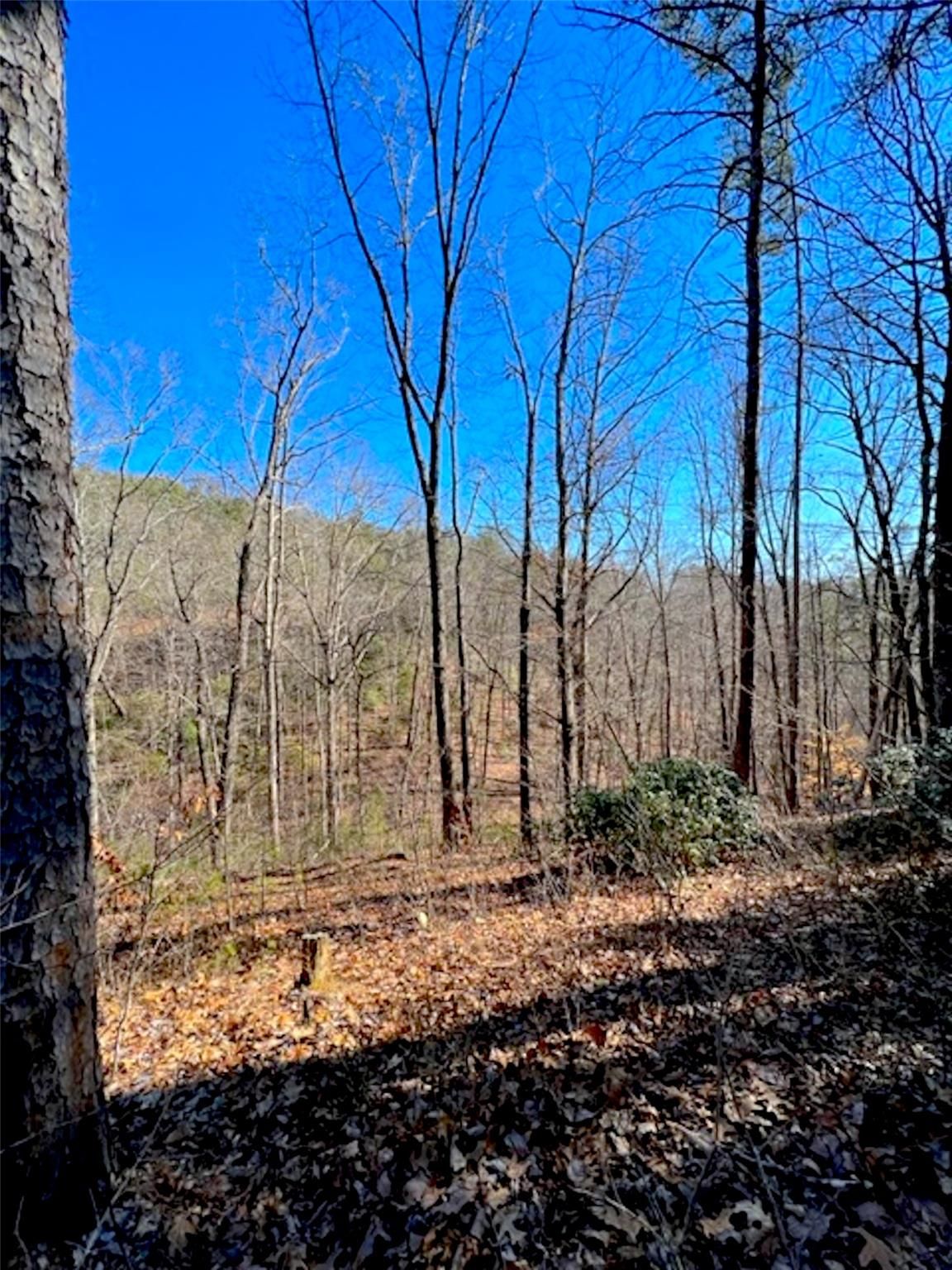 Rock Ledge Drive