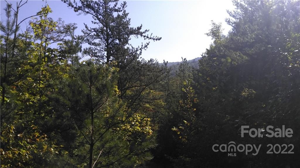 Lot 16c/17c Oconee Drive