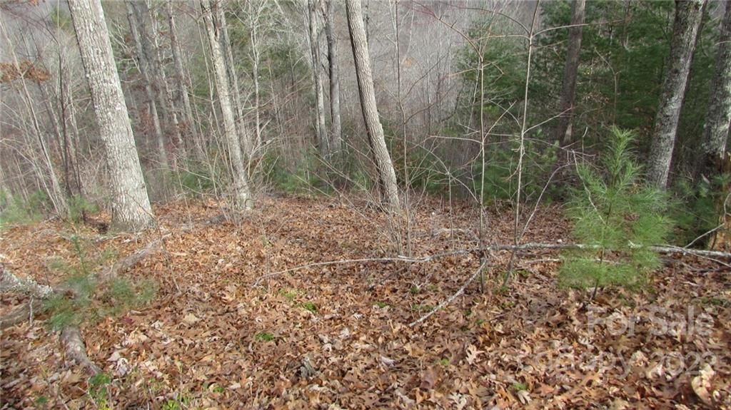 00 High Peak Ridge