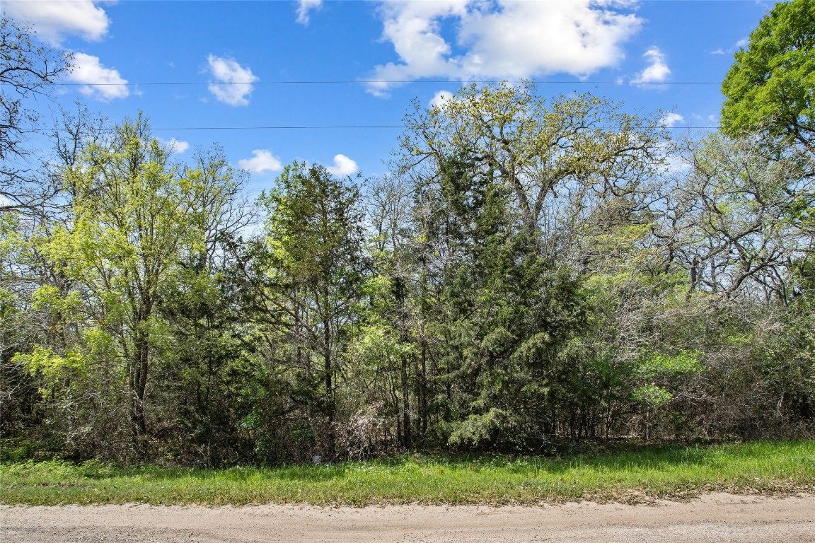 1128 Deerwood Drive