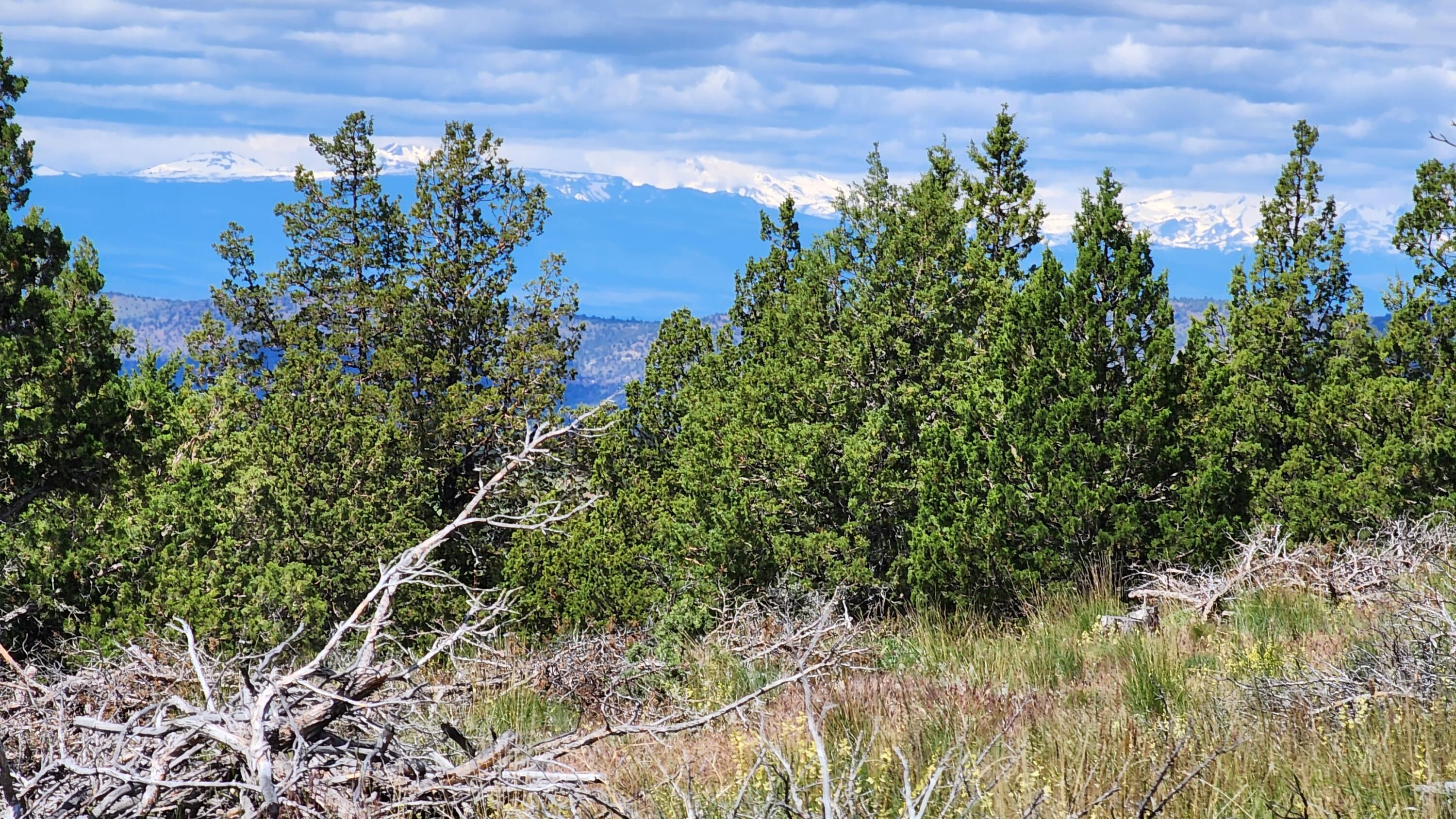 Tbd SE Pony Springs Road