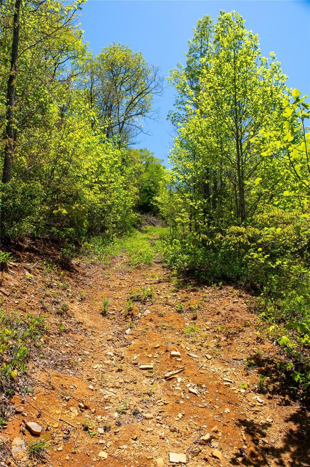 000 Electra Lane