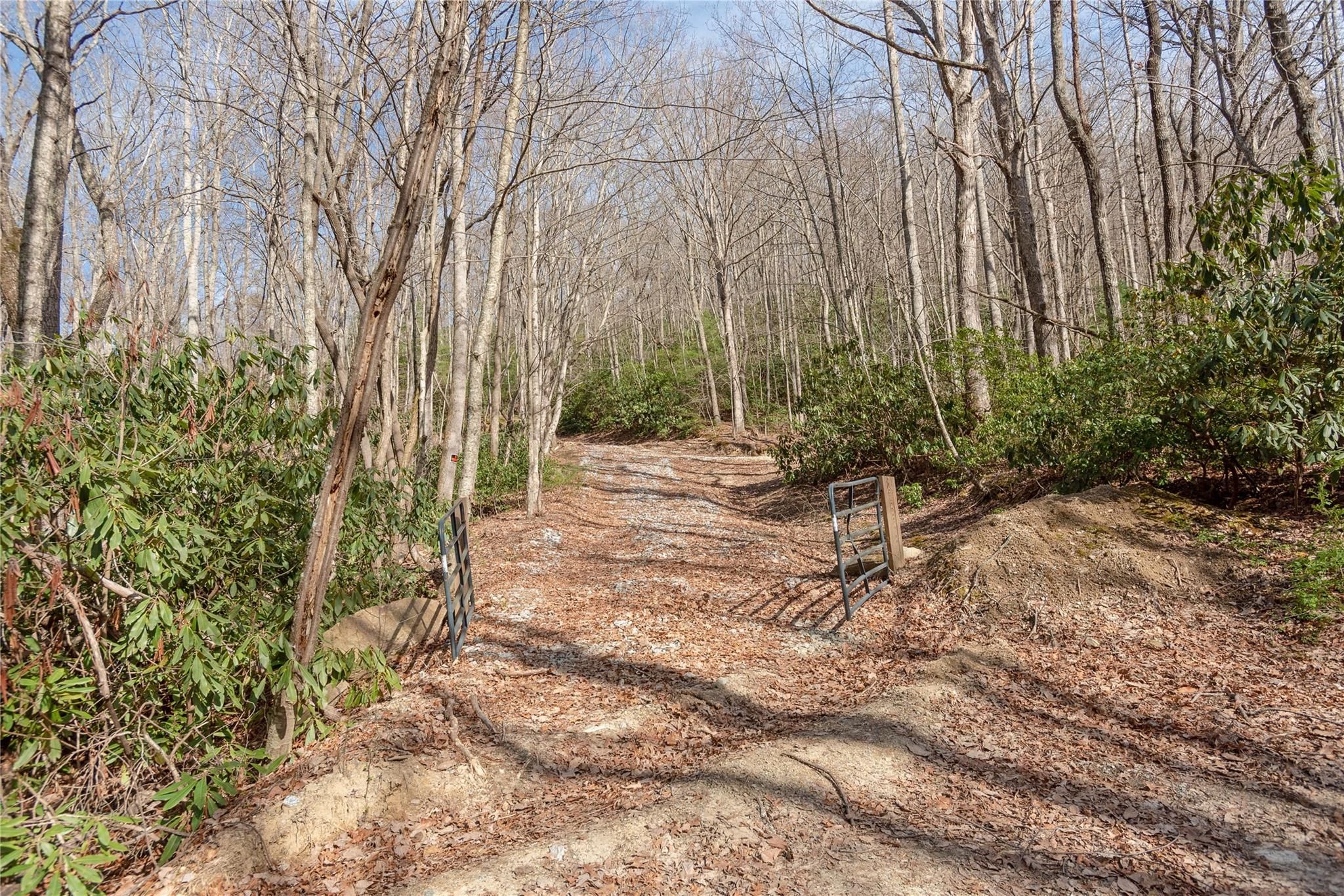 0000 Locust Grove Road