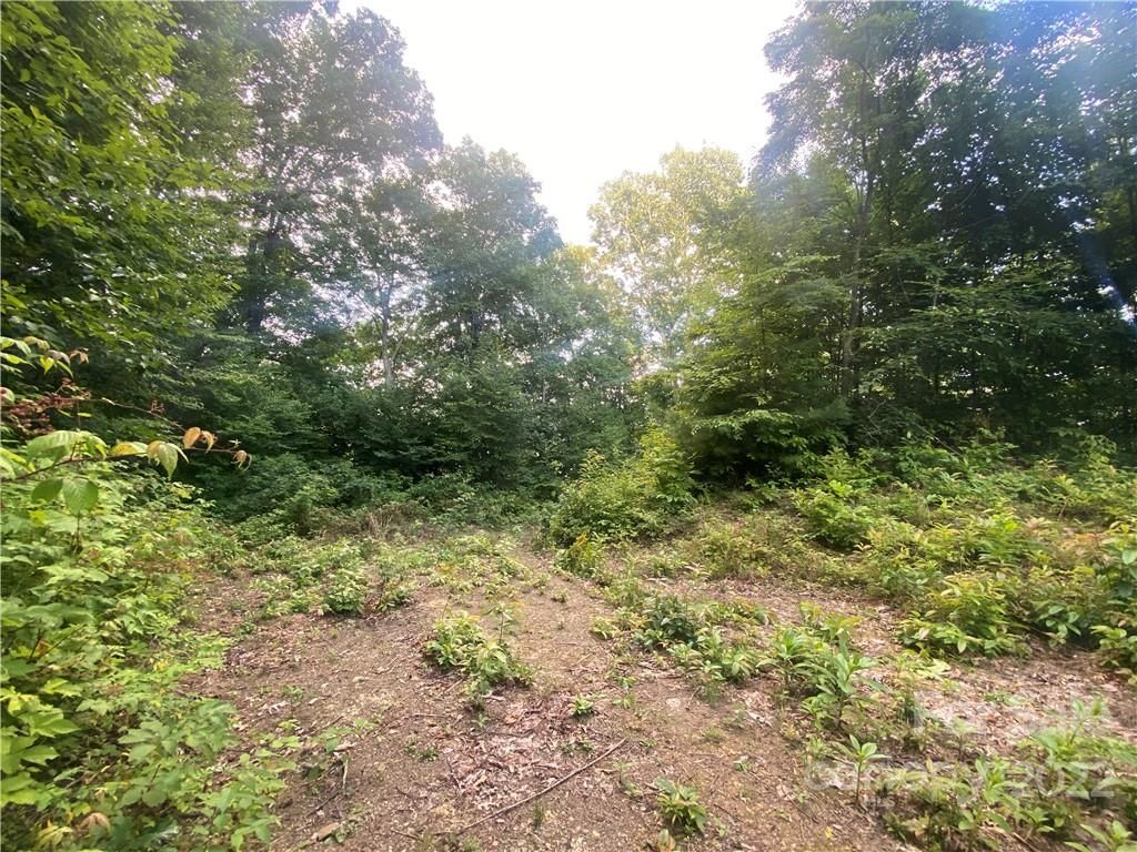 00 Sigogglin Trail