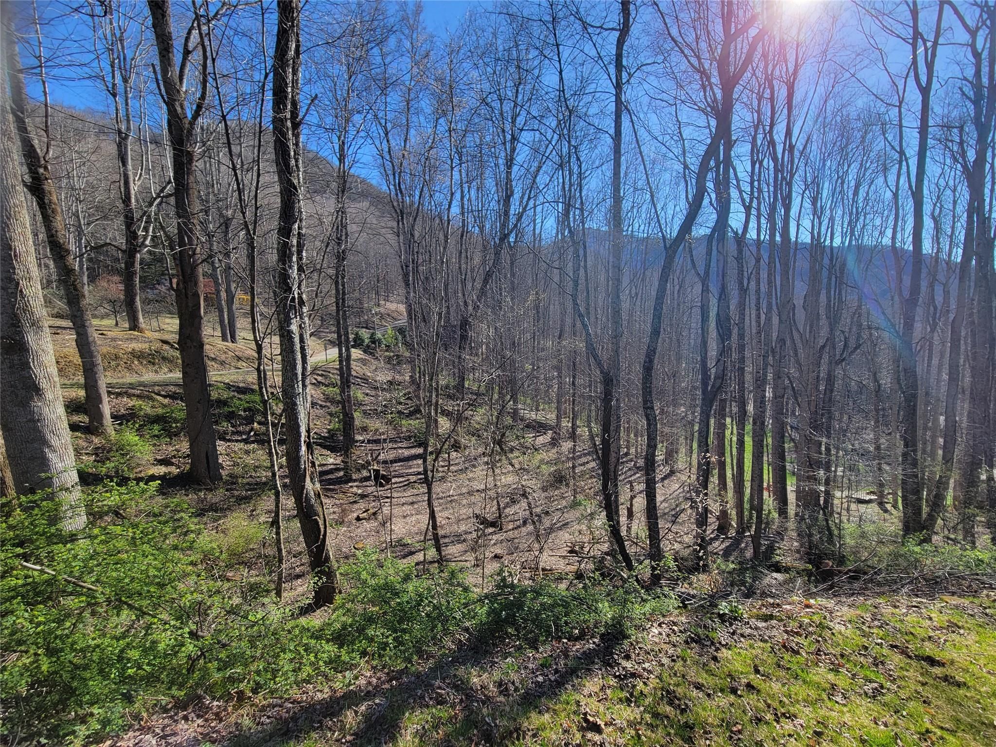 699 Spirit Mountain Trail