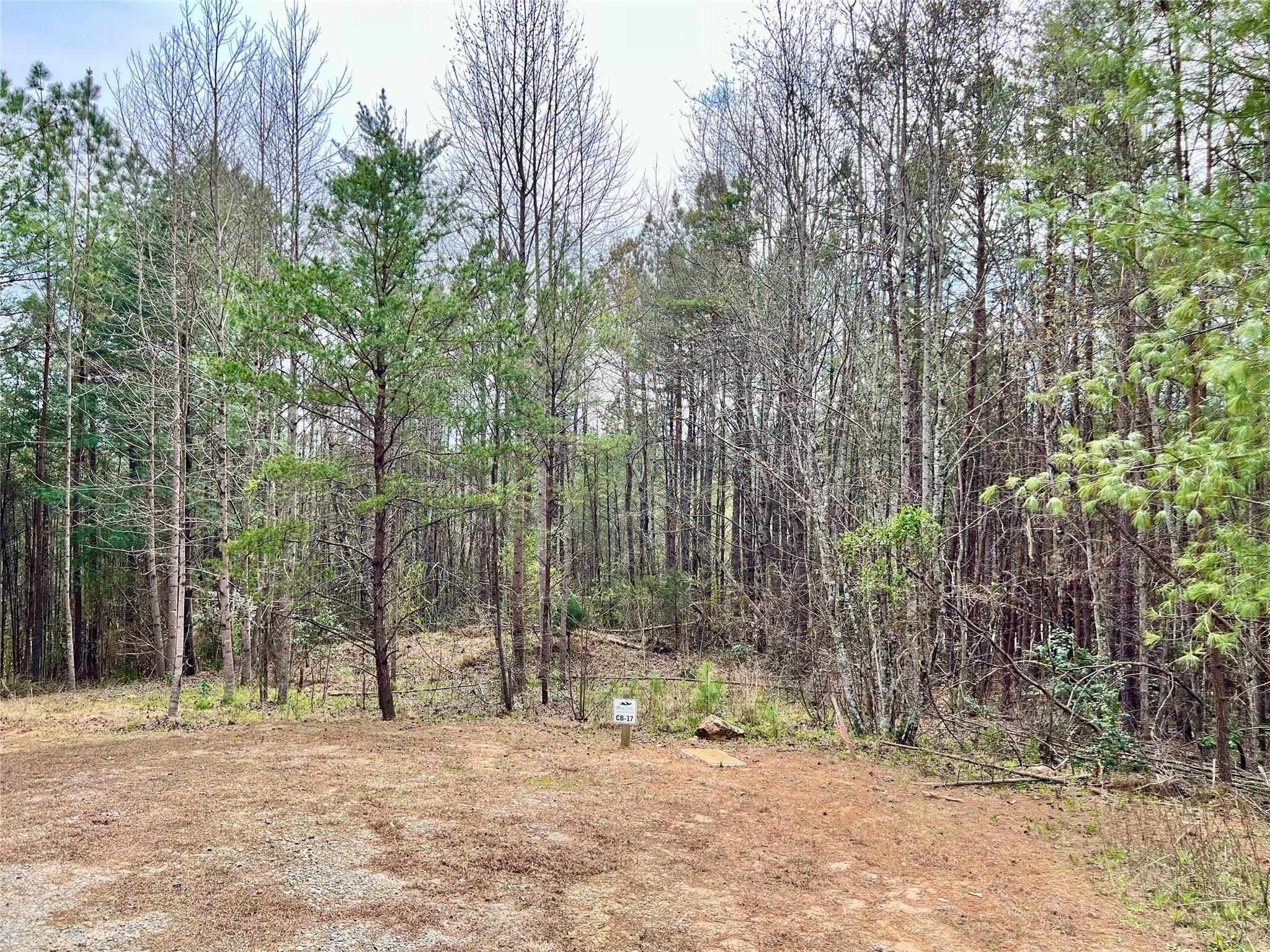 1.096 Acres Lot Cb-17 Low Country Road
