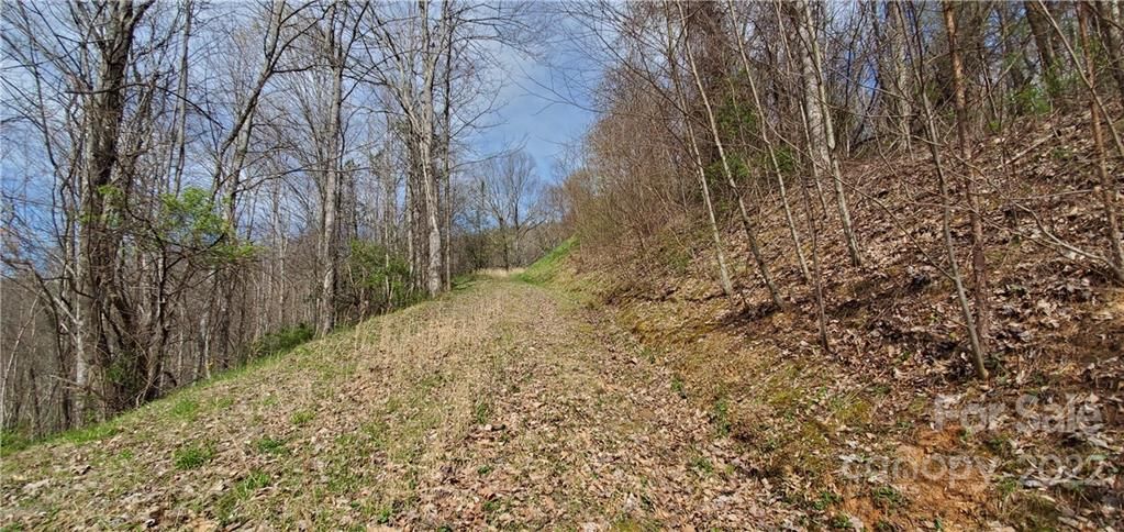 00000 Turning Leaf Trail