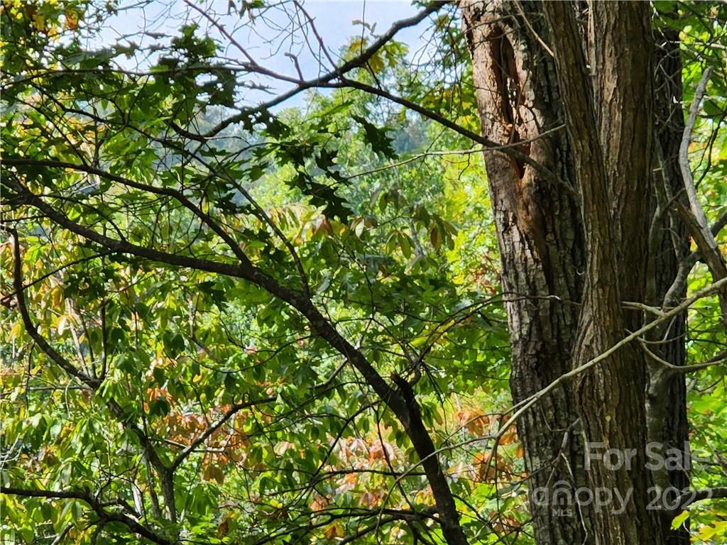 Lot 240 Rock Ledge Drive