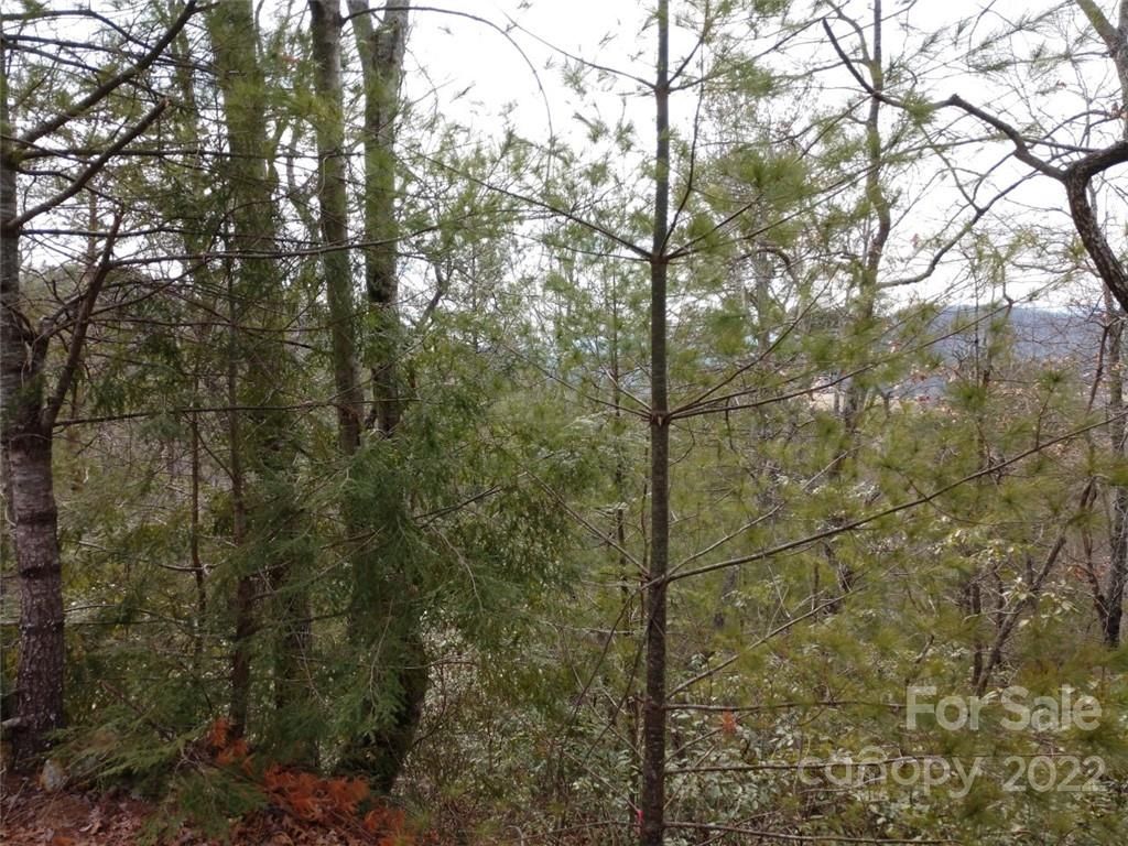 00 Deer Ridge Trail