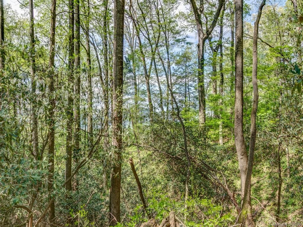 Lot 3 Powder Springs Trail