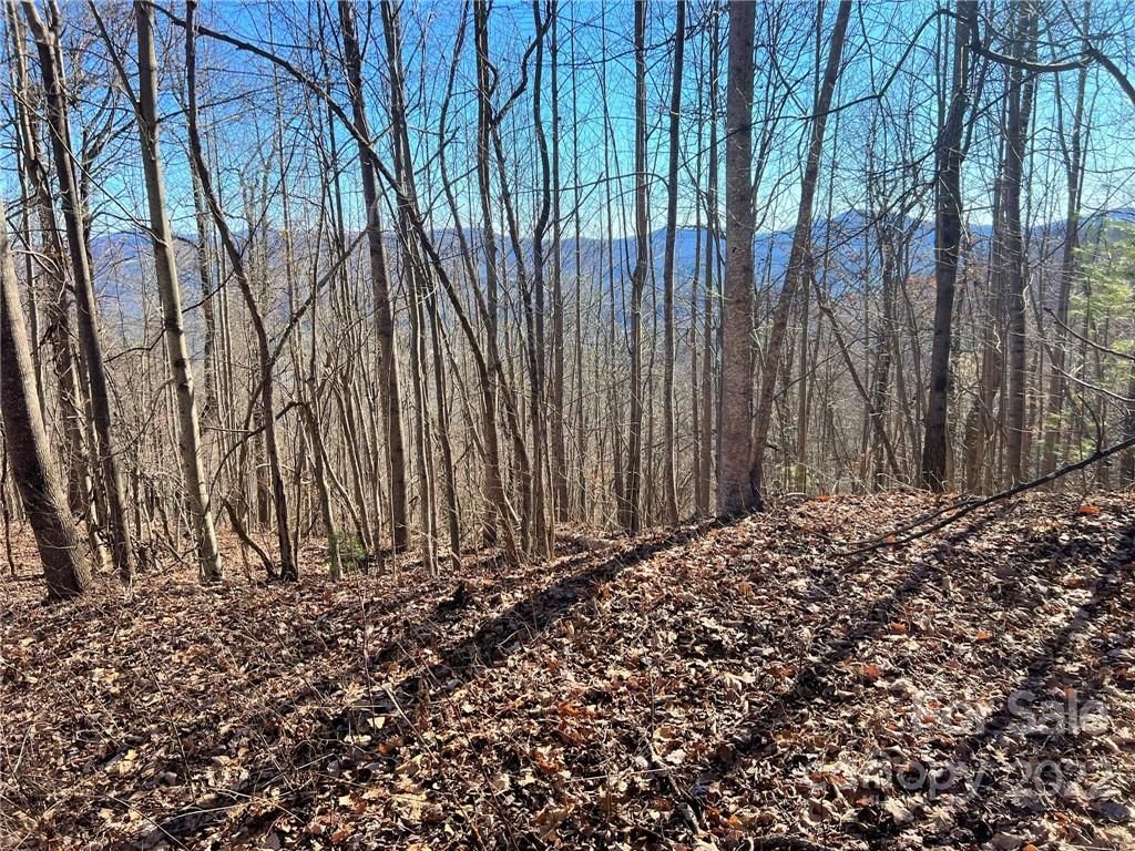 0000 Pinnacle Mountain Road