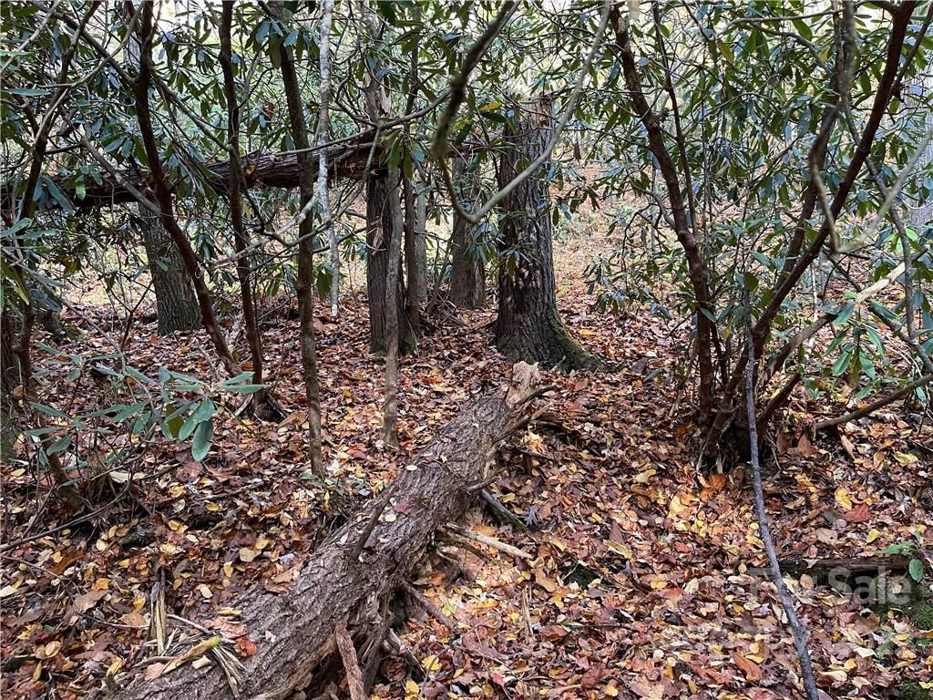 100 E Mill Creek Road