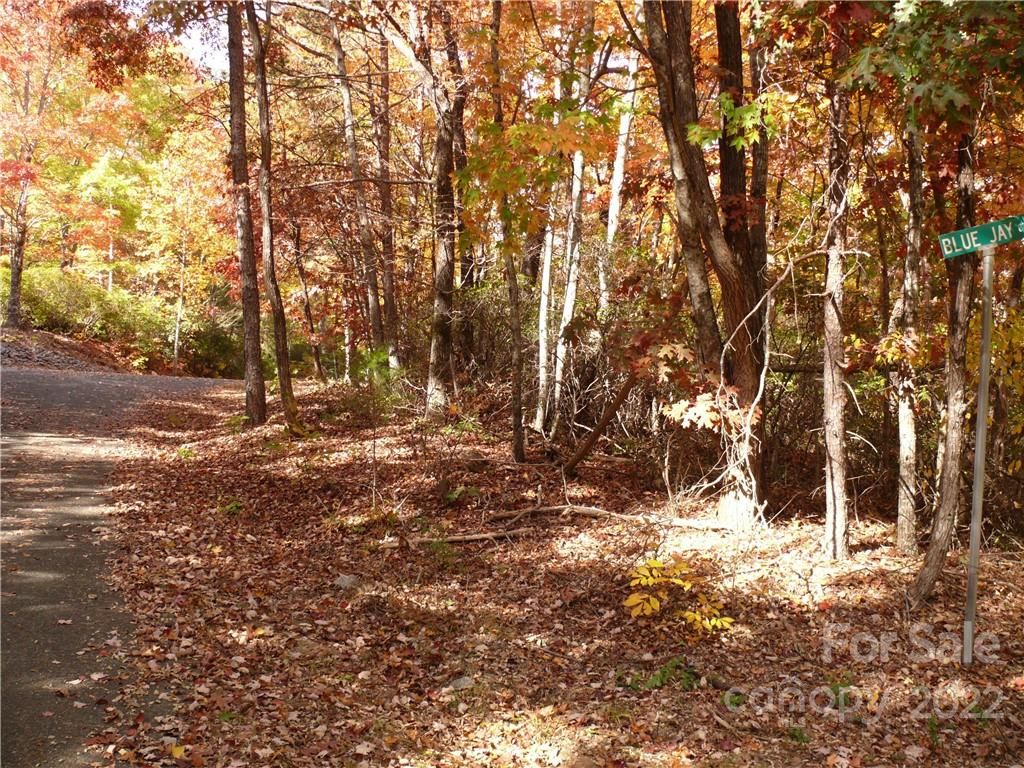 Lot 261 Quail Ridge Road