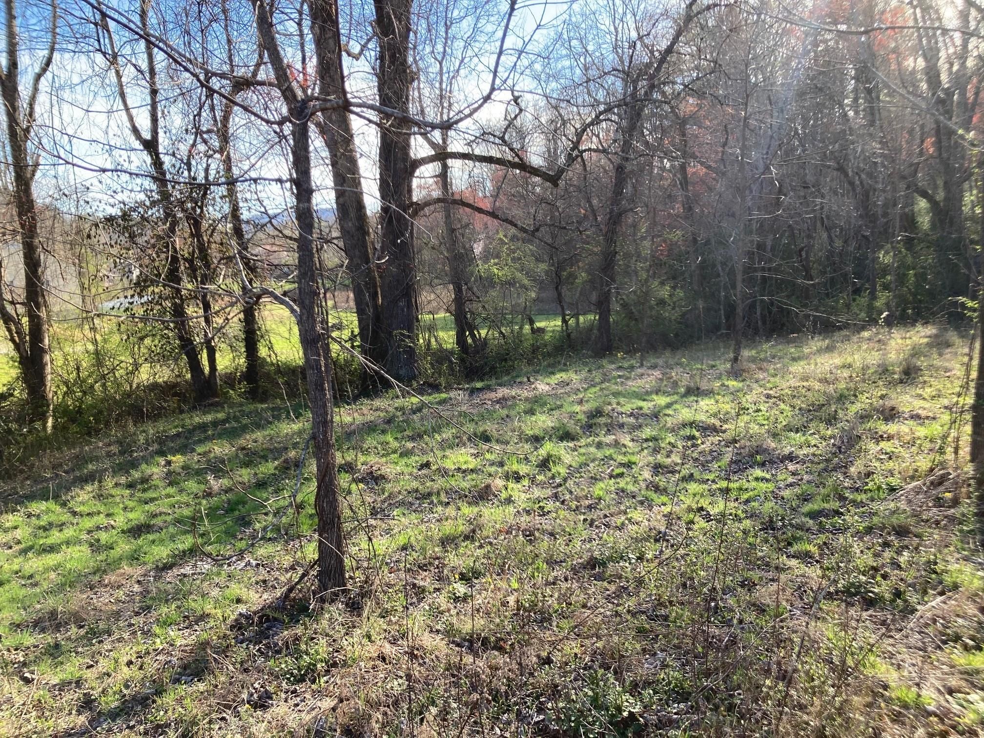 Holly Springs Road