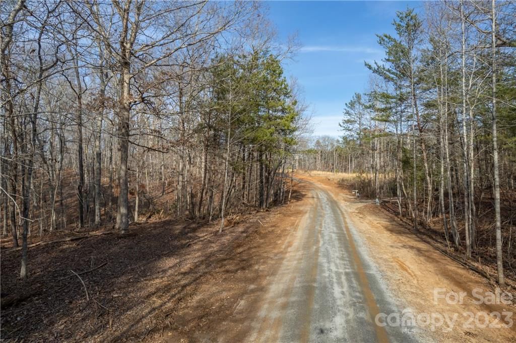 Pine Hill Drive