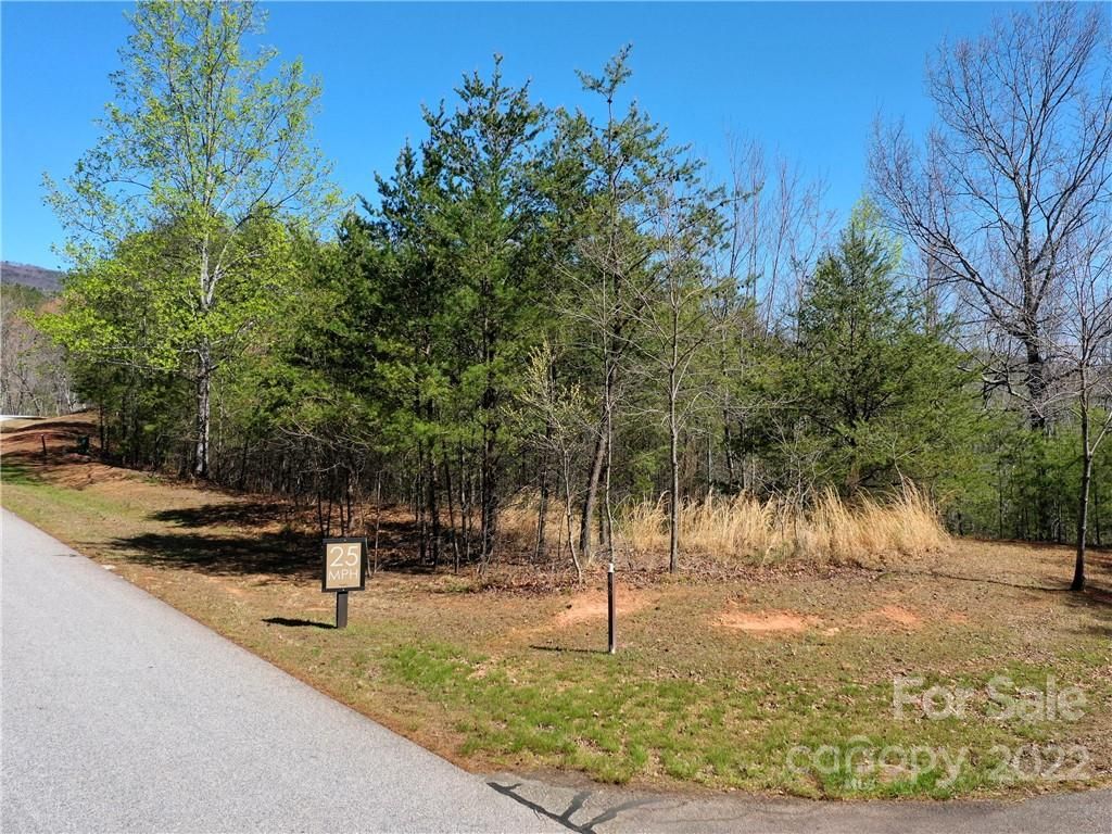 Lot 114 Deep Gap Farm Road