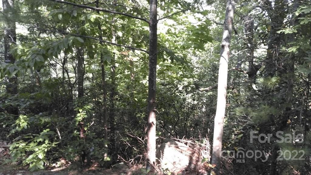 Lot 2a/3a Quail Drive