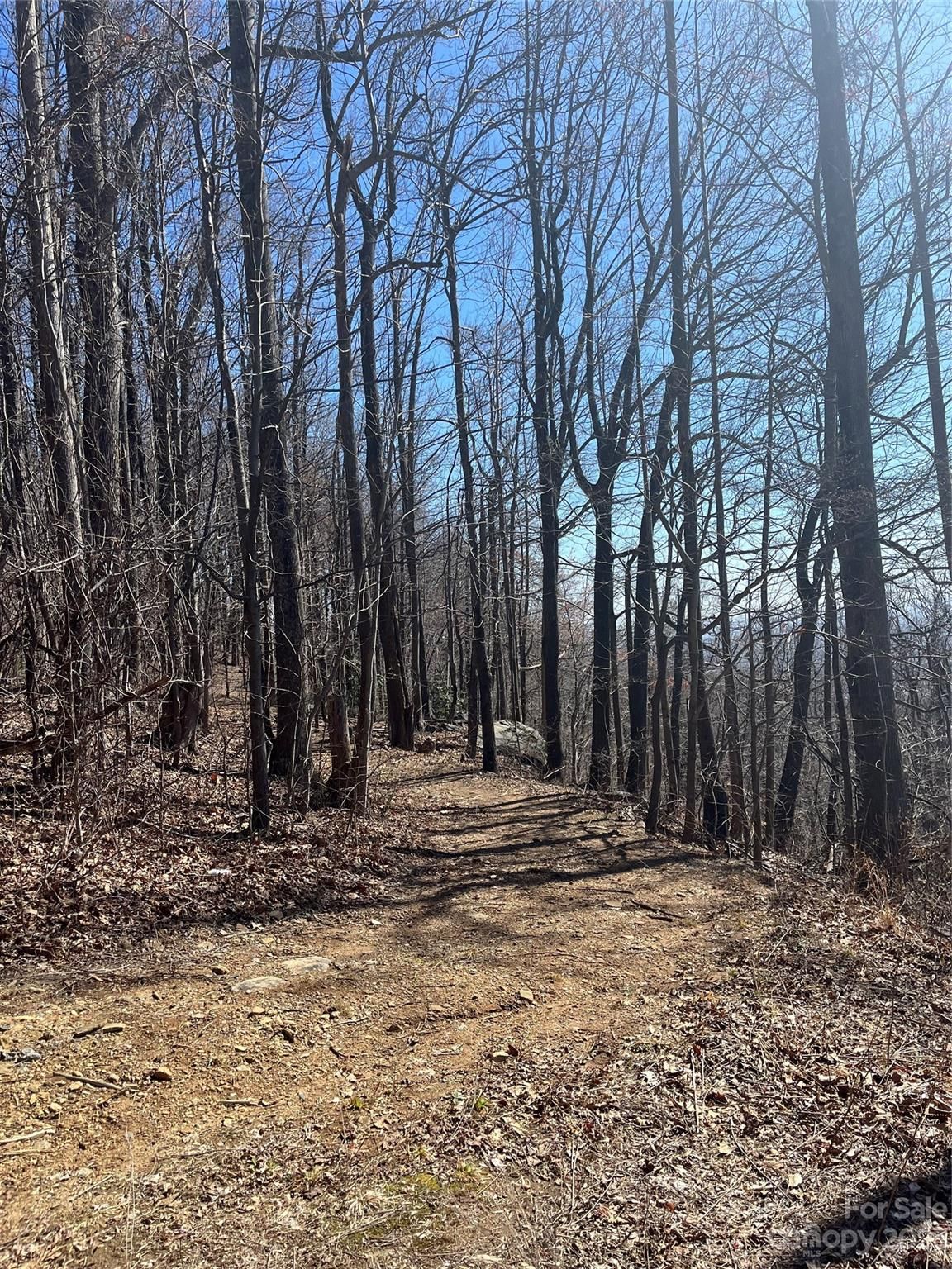Lot 999 Skyuka Mountain Road