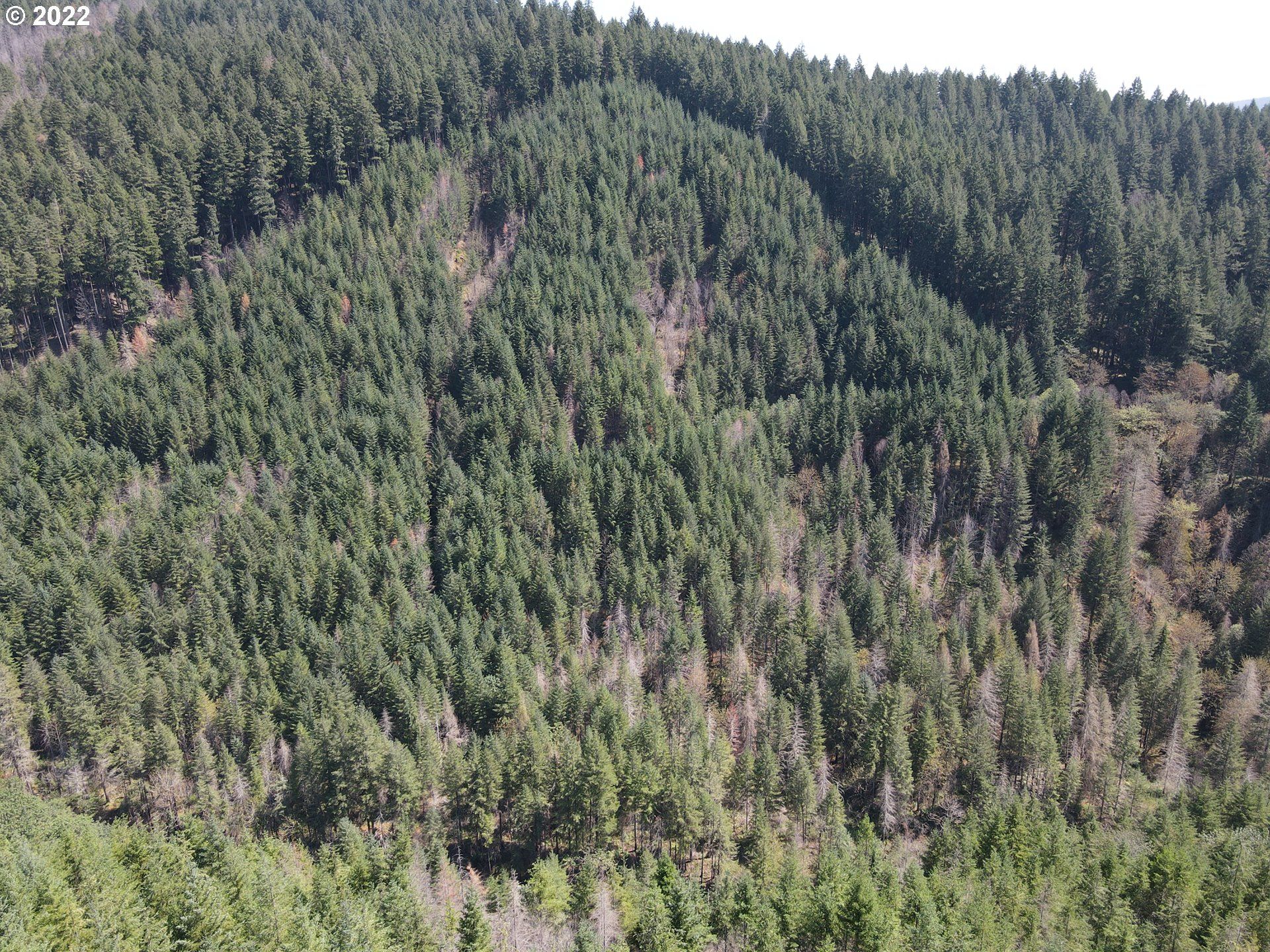 S Fork Molalla Rd