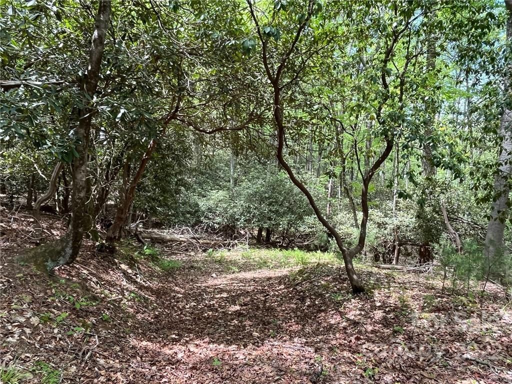 51 Misty Valley Parkway
