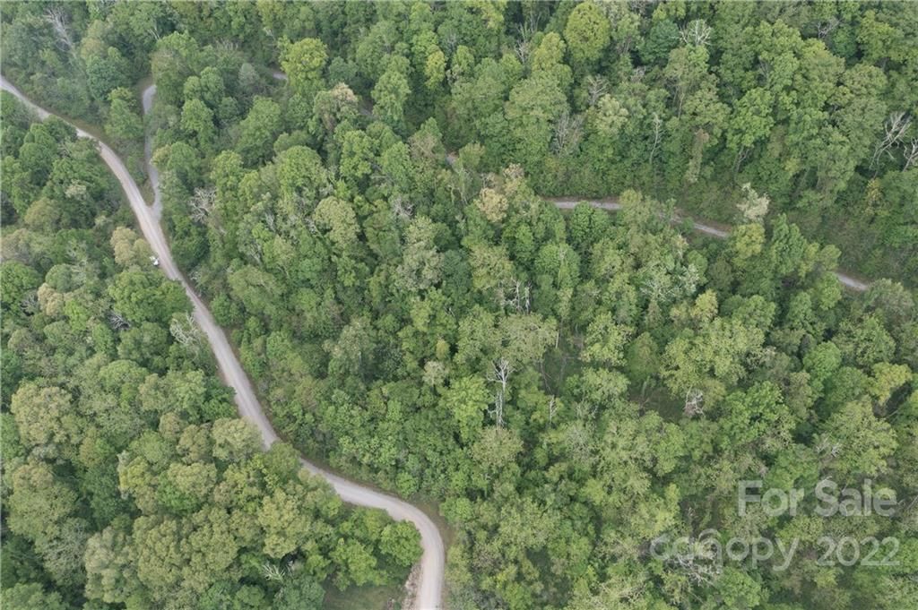 384 Live Oak Loop