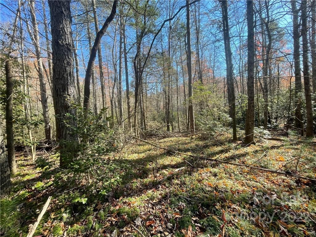 Tbd Green Hollow Lane