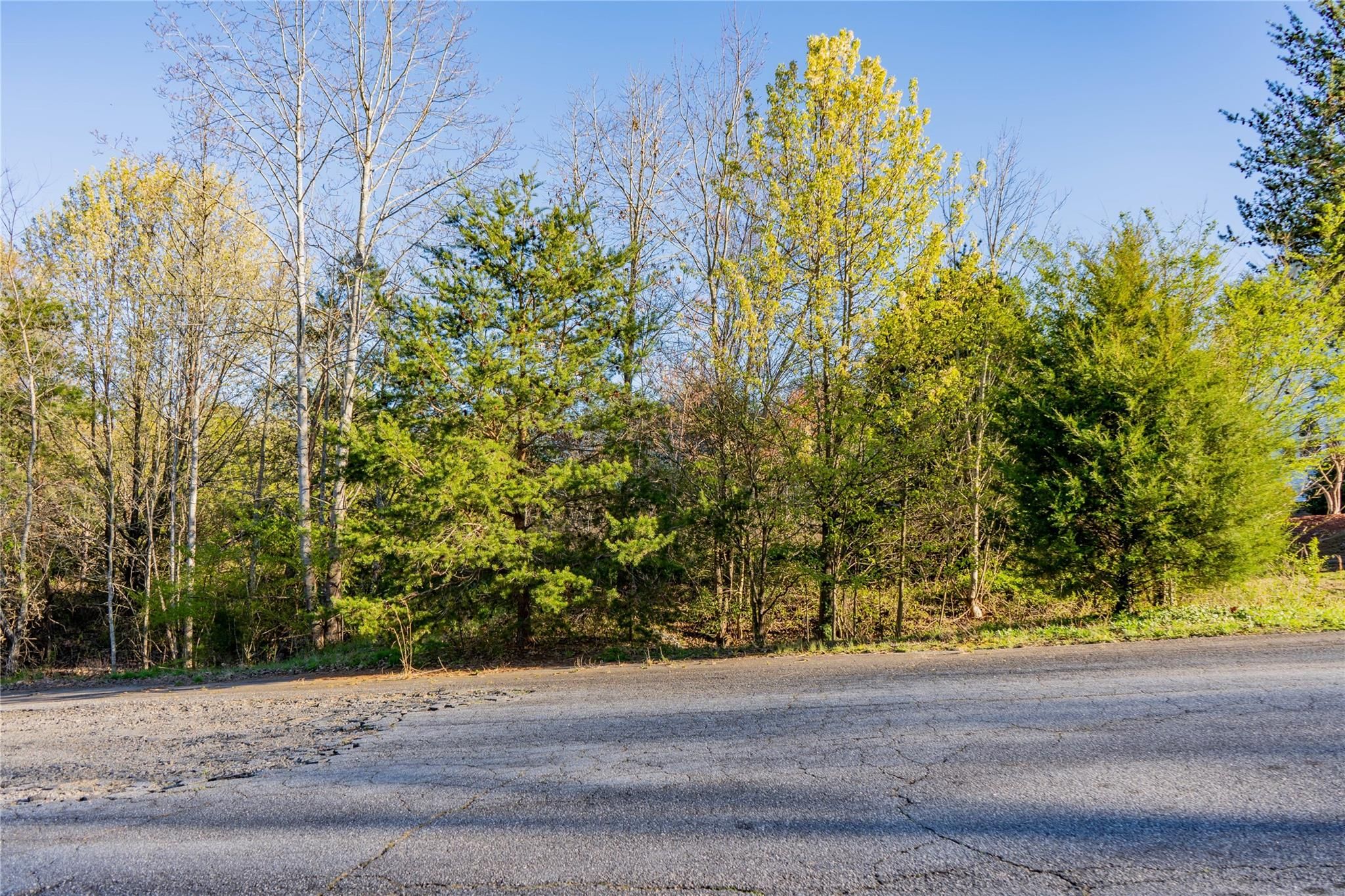 1 Candlewick Cove Drive