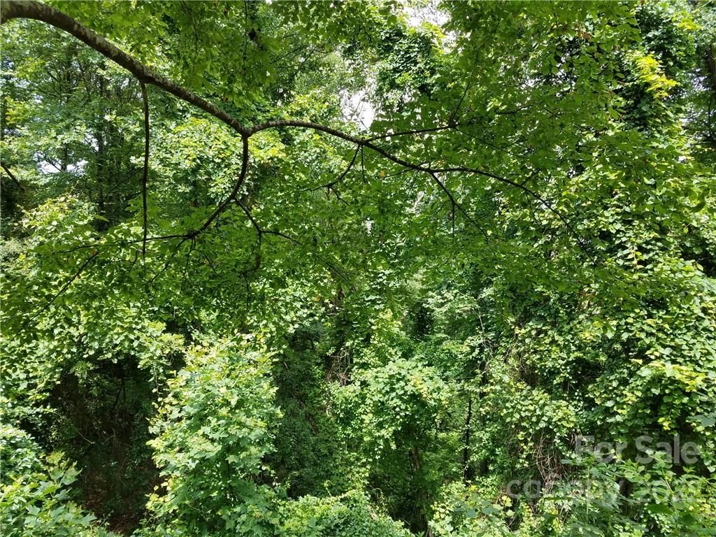 Lot 63 Hunters Ridge Road