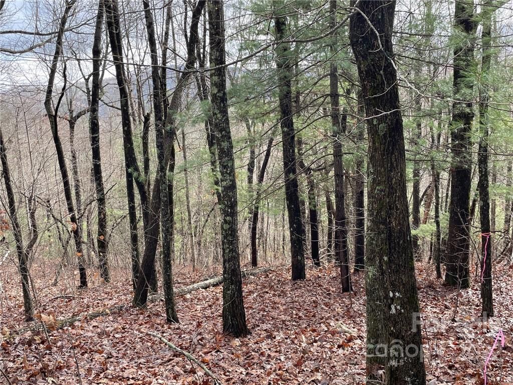 100 Ridge Lane