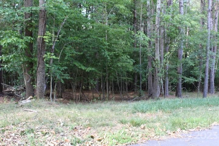 218 Table Rock Trace