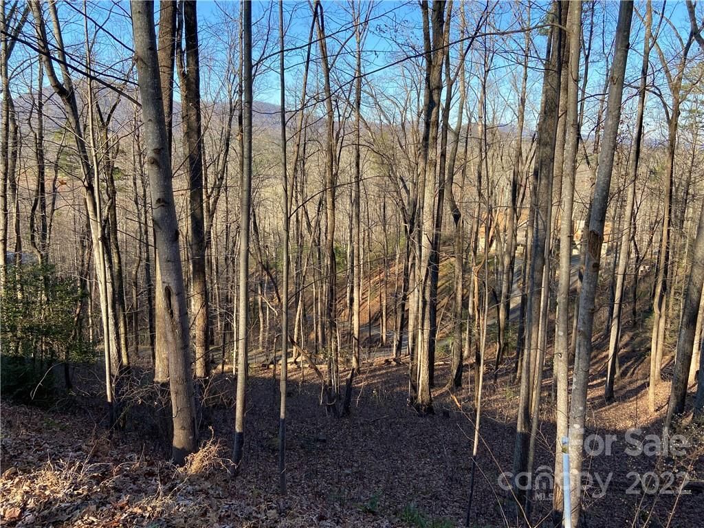 High Pines Loop