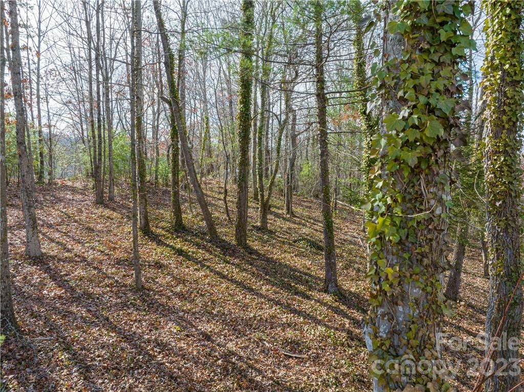 7 Magnolia View Trail