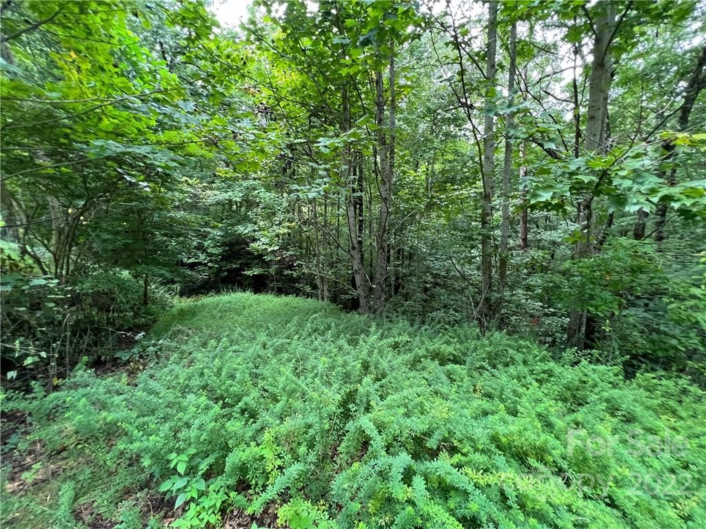 23 Kelly Mountain Road