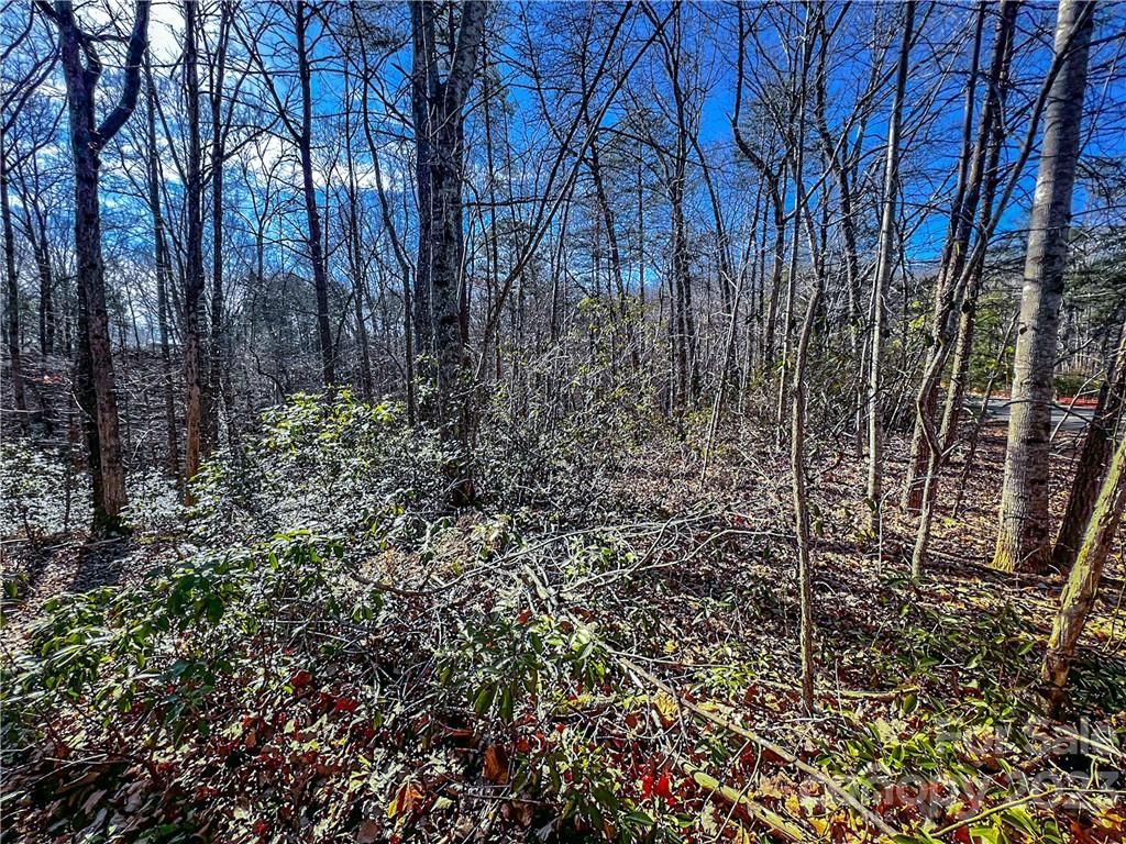 Lot 50 Flynn Court