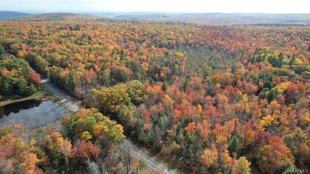 Mount Vernon Road