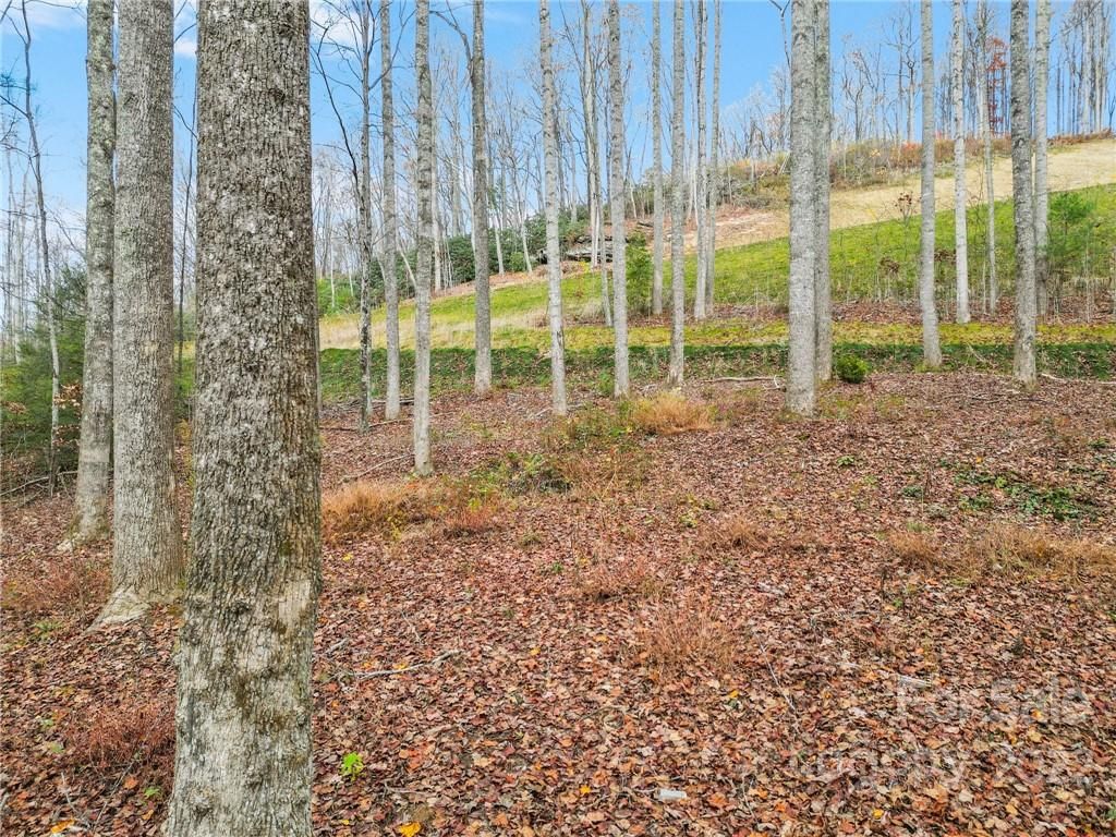 Lot 80 Mountain Grove Lane