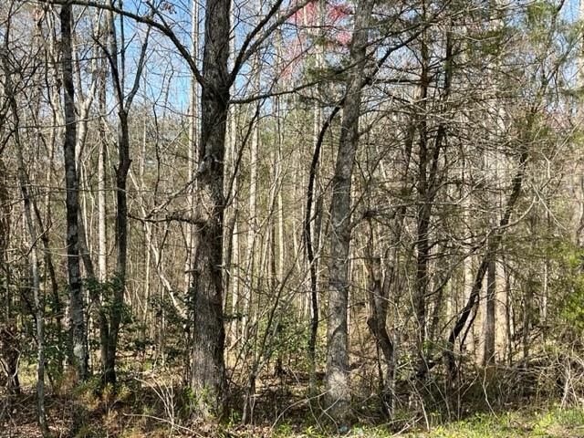 00 Camp Creek Road